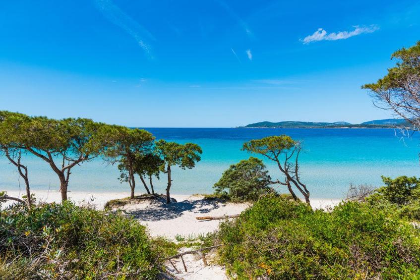 Alghero D'Estate Екстериор снимка